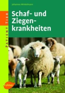 Schaf-Ziege-krankheit-01
