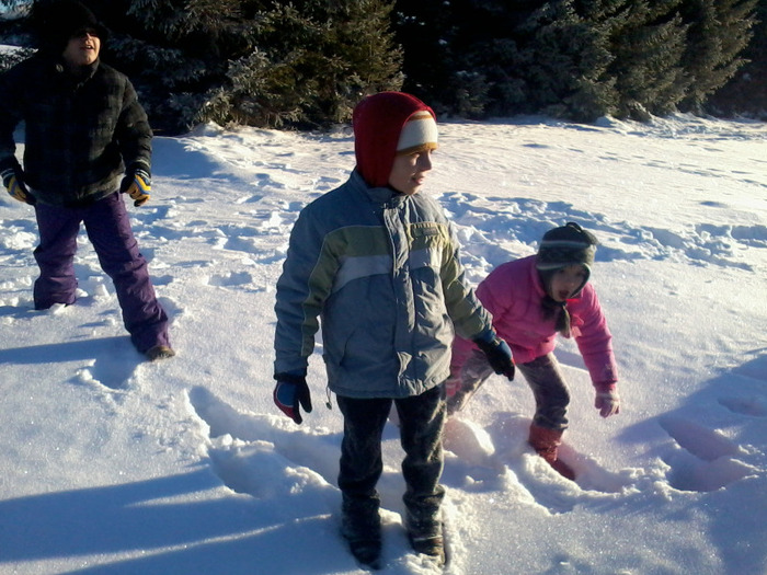 PAS,PAS,PAS...LA DEAL E GREU...