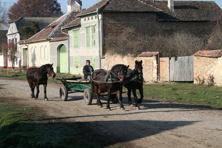 STELA cu sora si mama nov. 2008