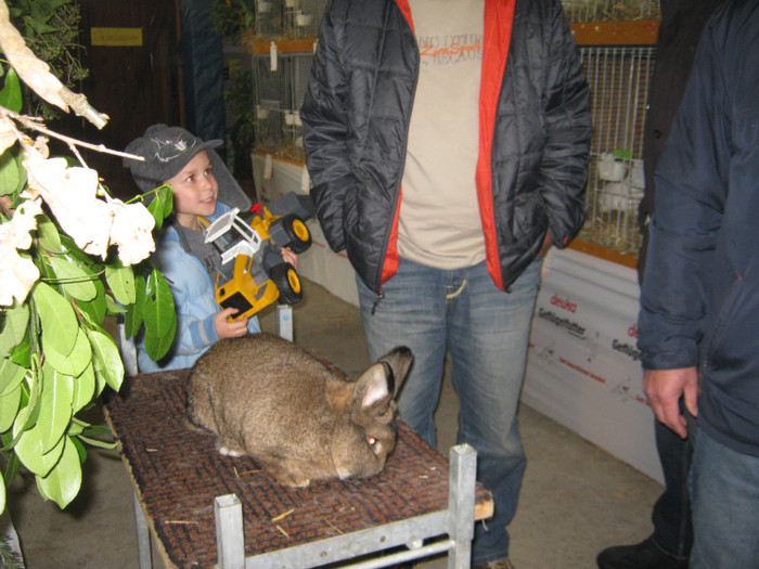 2 masculi 2 femele campioni Ried