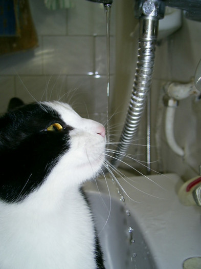 13.02.09 (142) - Baietii mei