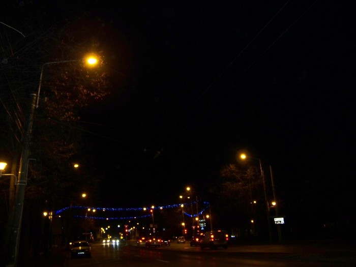 100_3382 - 2012 ianuarie 2