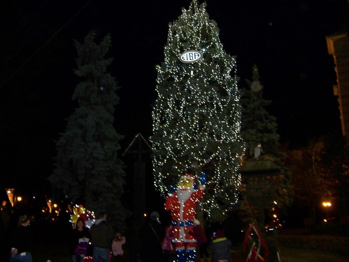 100_3406 - 2012 ianuarie 2