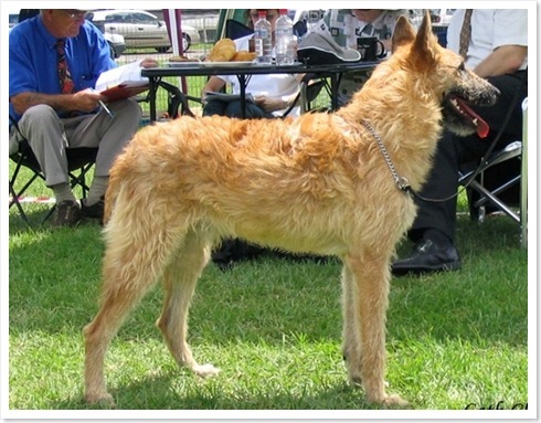 ... - NextTopCutzuBySG-ep3