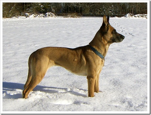 ... - NextTopCutzuBySG-ep3