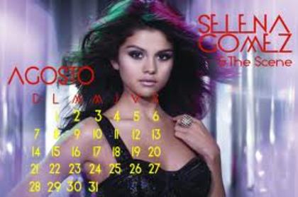 svsbvbdjv - selena gomez