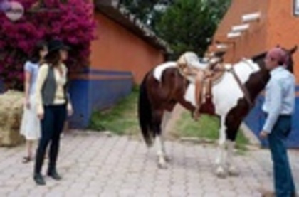 58eec8a743fa907d8199eb00393e9b98 - Alejandro Ruiz