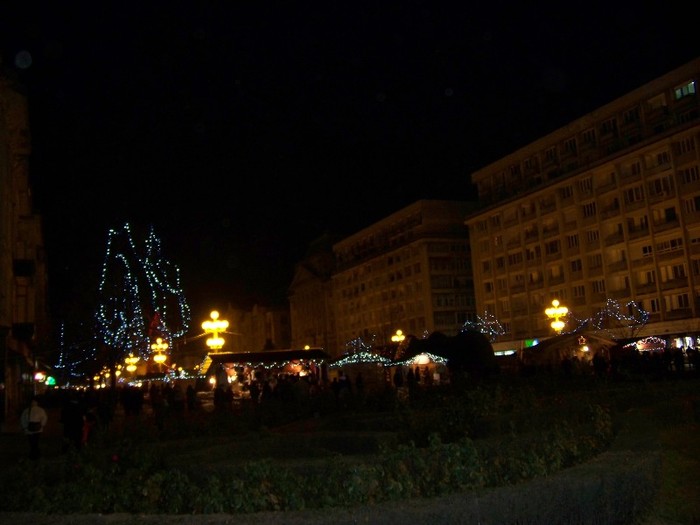 100_3410 - 2012 ianuarie 2
