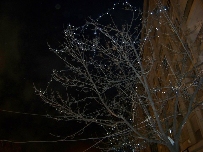 100_3420 - 2012 ianuarie 2