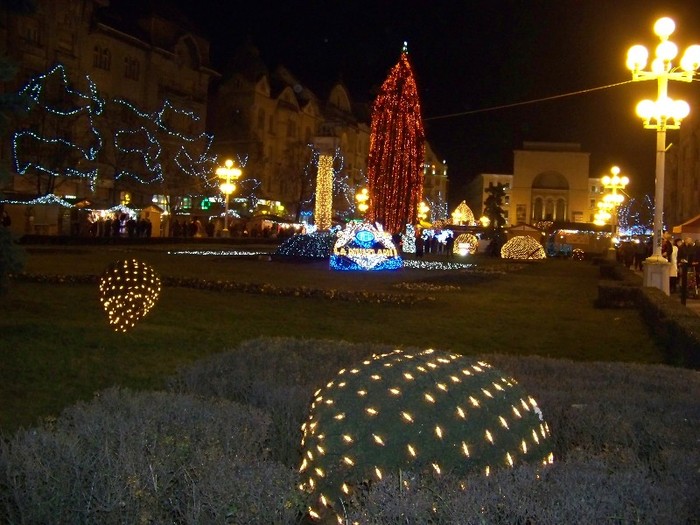 100_3422 - 2012 ianuarie 2
