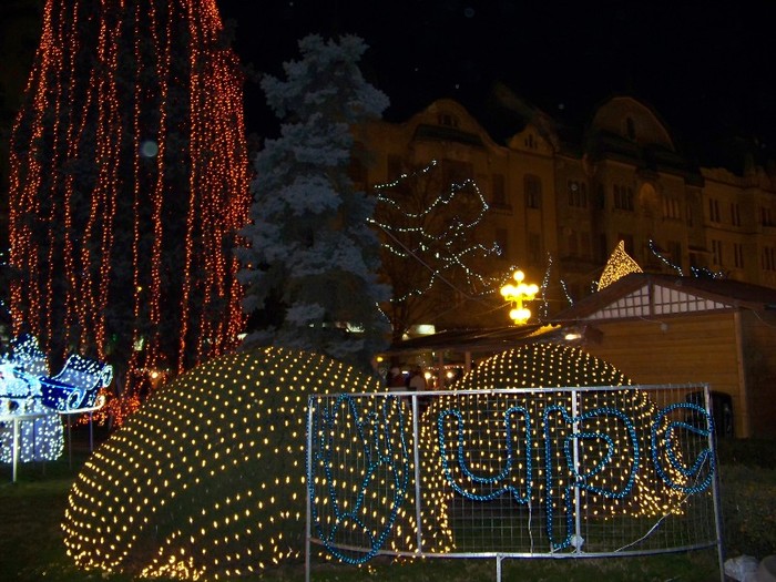 100_3434 - 2012 ianuarie 2