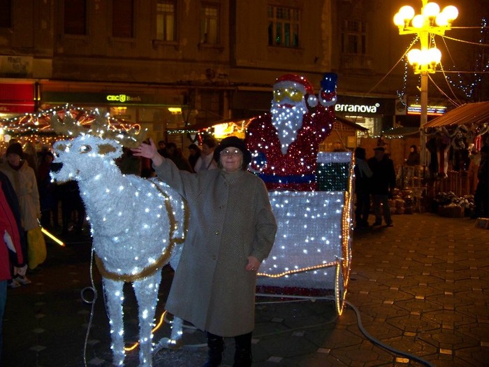 100_3446 - 2012 ianuarie 2