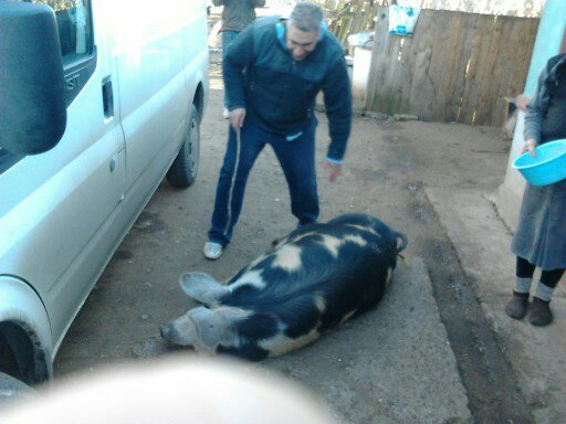 daca ma scarpini ma ridic daca nu aici ma culc:)))