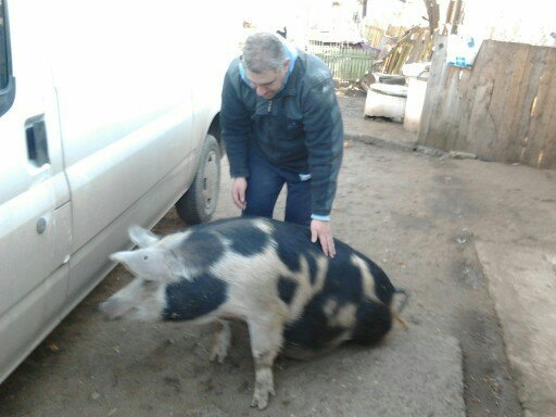 ok hai ca mai convins