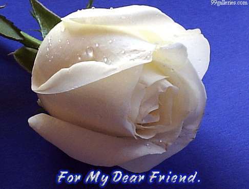 magda1952-prietenilor-mei_585549f7398116