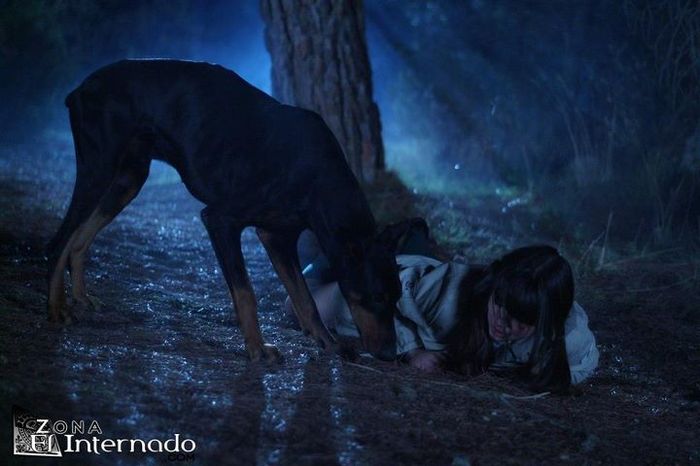 306307_10150324073517536_106372497535_8527988_1773567605_n