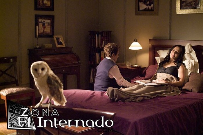 64482_438925882535_106372497535_5764123_4359301_n