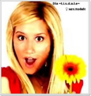 aaaaaaaaaaaaaaaa  ce  draguta   floare