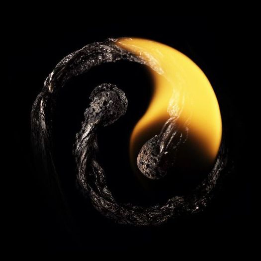 bete-de-chibrit-arse-20 - Arta din chibrite arse