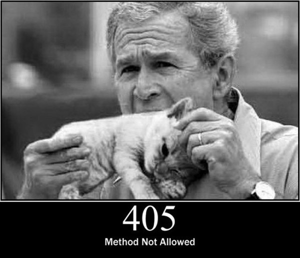 pisici-server-errors-03