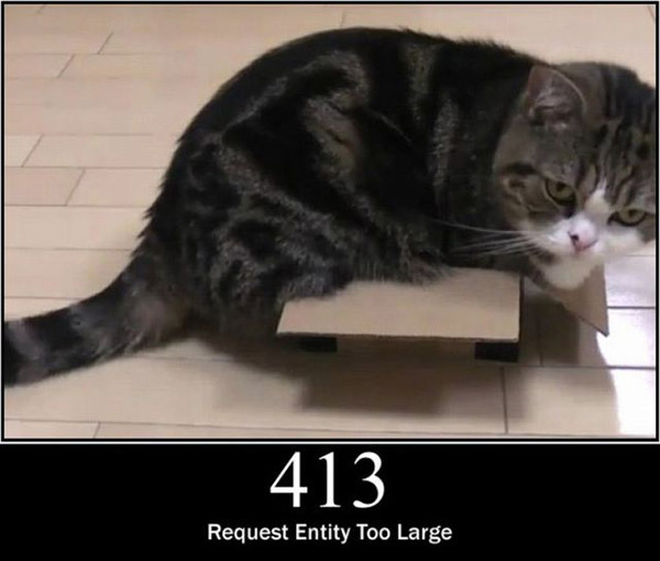 pisici-server-errors-06