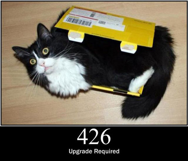 pisici-server-errors-08 - Pisici si server error