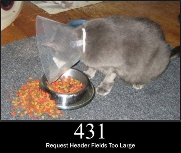 pisici-server-errors-10