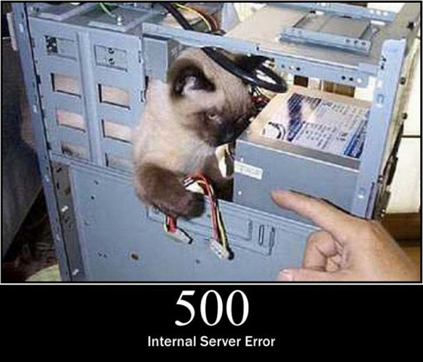 pisici-server-errors-12 - Pisici si server error