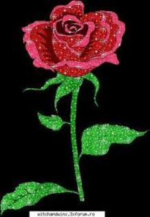 trandafir - poze cu sclipici
