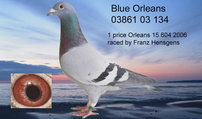 Blue Orleans