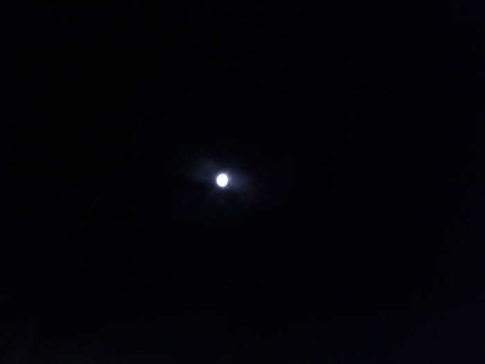 3.01.12 Altona Beach