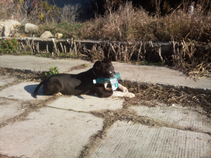 Photo583 - Sara si Leo