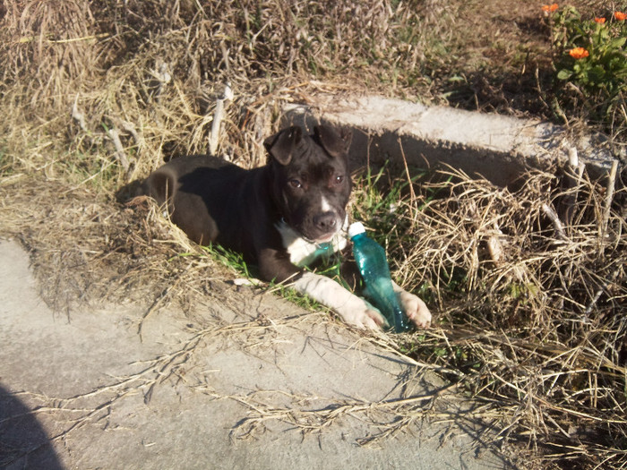 Photo585 - Sara si Leo