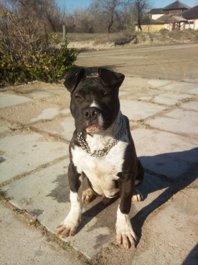 Photo579 - Sara si Leo