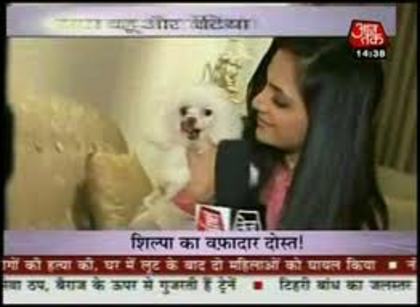 images (1) - Shilpa Anand and Her Dog