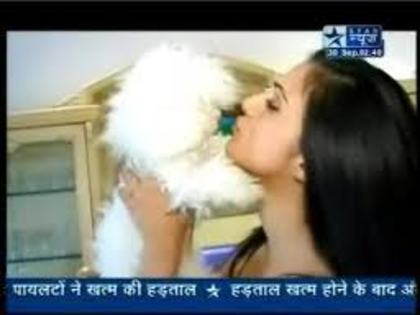 images (4) - Shilpa Anand and Her Dog
