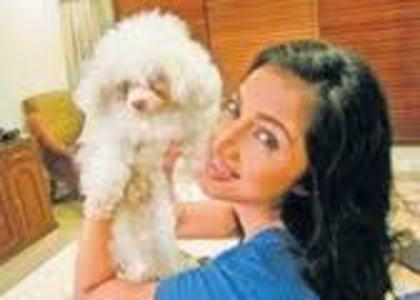 images (7) - Shilpa Anand and Her Dog