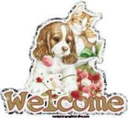 o.O (11) - 000Buna000