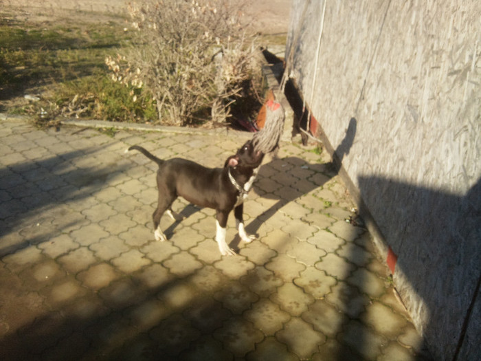 Photo586 - Sara si Leo