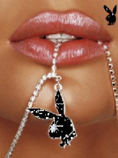 playboy8_xe7cwhir