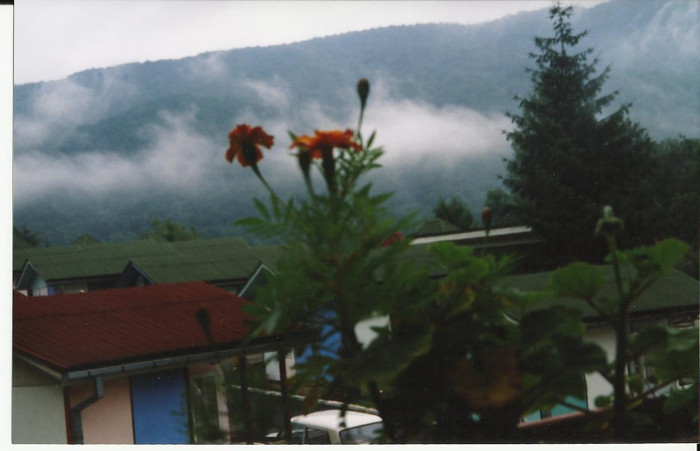 amintiri ... 042; poiana sarata -vedere din balcon...
