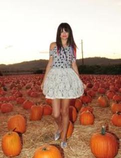 QCCA9DFEE5CA6TC0BDCA34209FCAO8GE12CAS93FP5CAMD0CEKCAIYYYQFCAUWE1EKCABQ8875CAW473J9CAL4GF76CABW1A9CCA