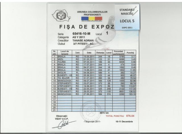 Fisa de expozitie