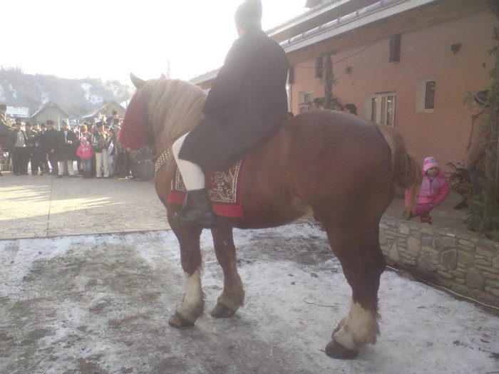 DSC02079 - ARMASAR  860 KG CANTARIT vandut