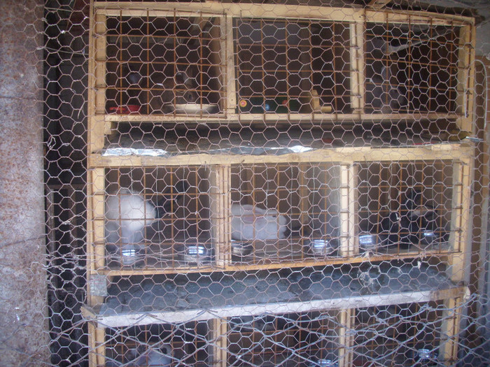 DSCI0322