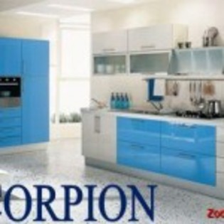 8-Poze-zodii-Scorpion-150x150 - Bucataria Perfecta pentru fiecare zodie