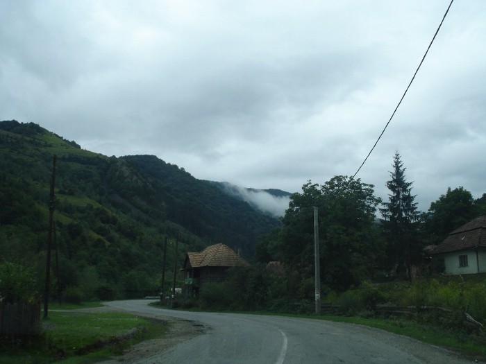 DSC03479 - Valea Ariesului