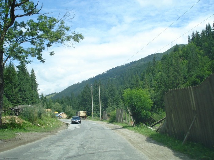 DSC03500 - Valea Ariesului