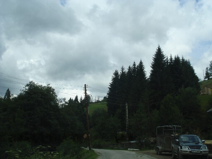 DSC03509 - Valea Ariesului