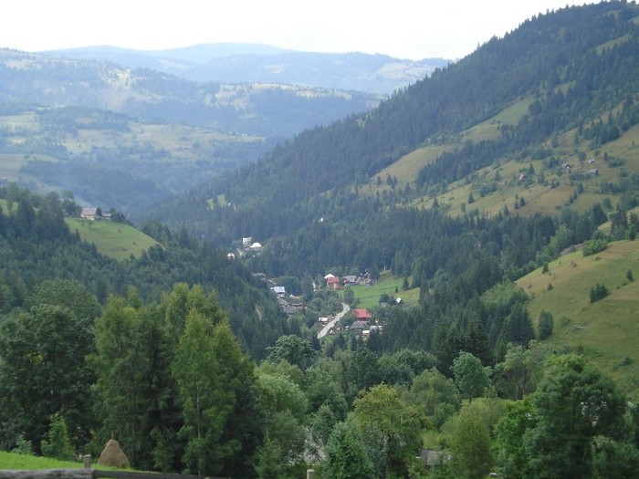 DSC03515 - Valea Ariesului